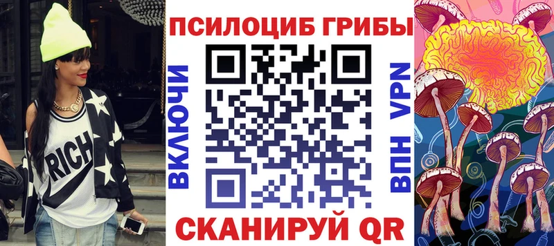 Галлюциногенные грибы Magic Shrooms  купить наркотик  OMG ССЫЛКА  Чебоксары 